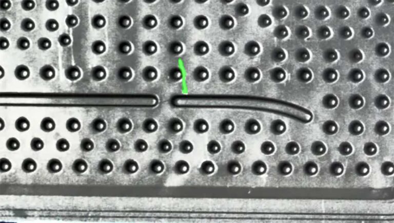 NG体育·(中国)官方网站-NG SPORT