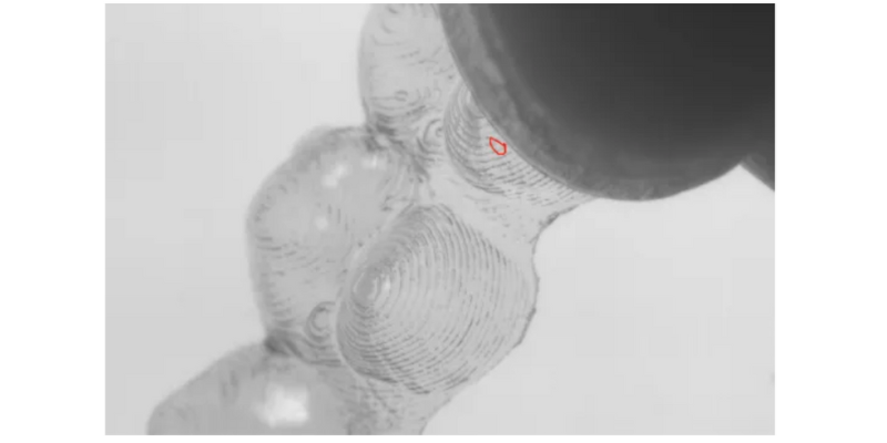 NG体育·(中国)官方网站-NG SPORT