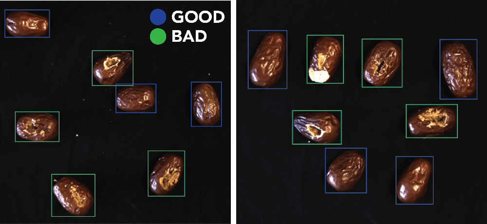 NG体育·(中国)官方网站-NG SPORT